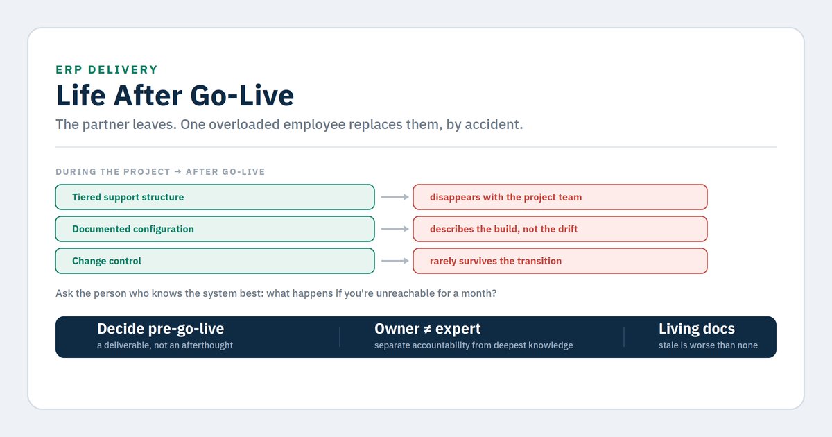 ERP support after go-live: a model beyond one key person